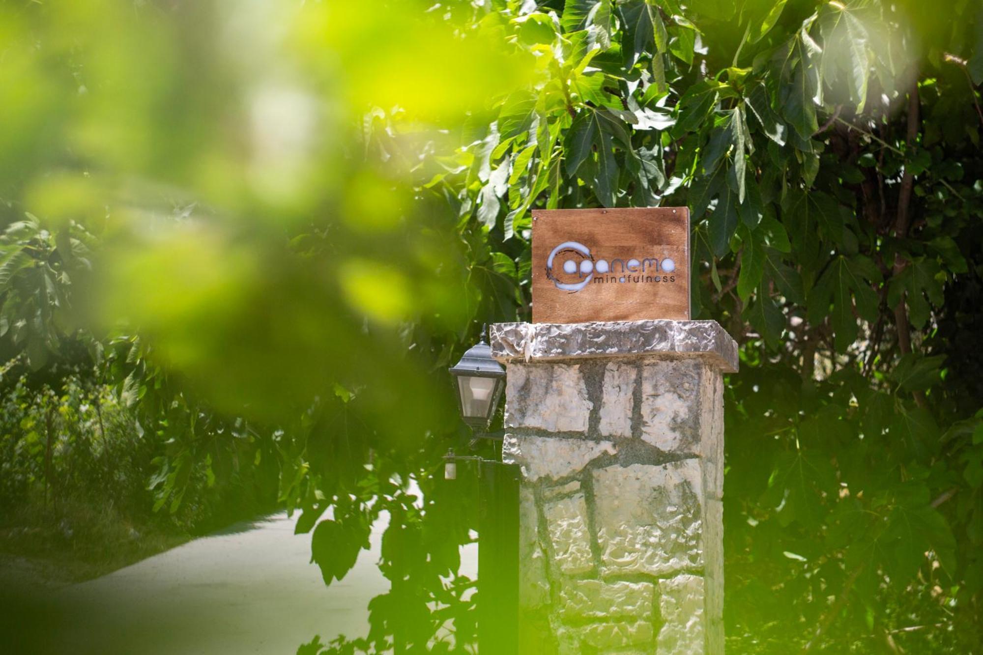 Apanema Mindfulness Resort Lefkada Asprogerakata Exteriér fotografie